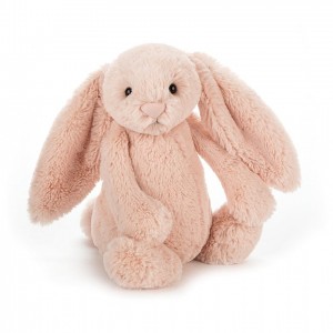 Jellycat Bashful Blush Hase Kleiner | JCPT-28697