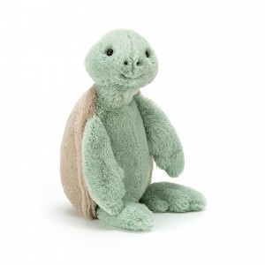 Jellycat Bashful Turtle Mittelgroß | GLRB-97486