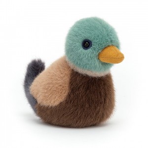 Jellycat Birdling Stockente | FIBU-07315