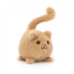 Jellycat Kitten Caboodle Ginger | JLSB-78496