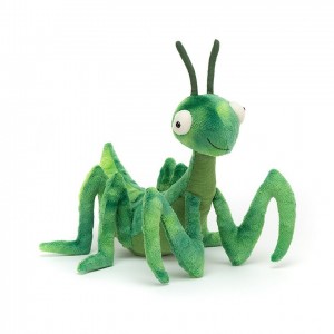 Jellycat Penny Praying Mantis | RZJL-34975