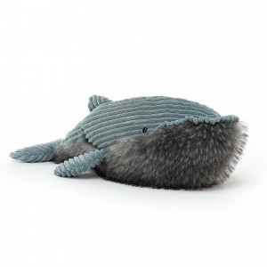 Jellycat Wiley Wal Groß | OSAC-13579