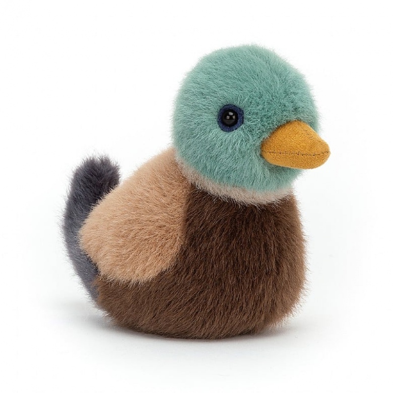 Jellycat Birdling Stockente | QJEC-83695