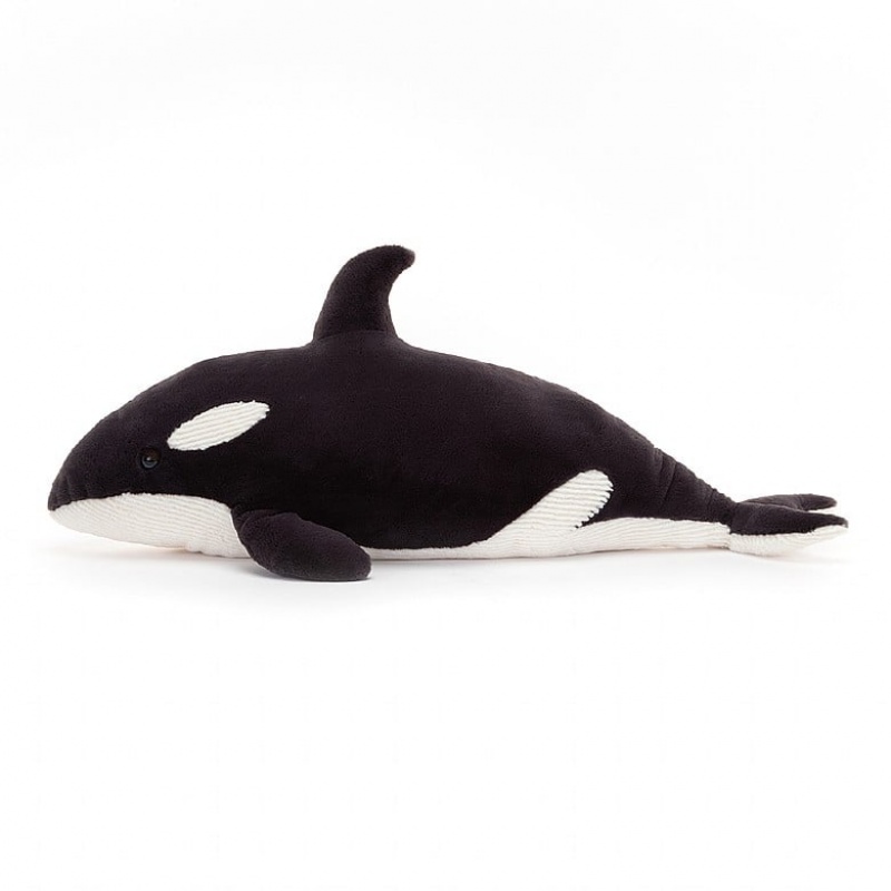 Jellycat Ollivander the Orca | GCNH-14760