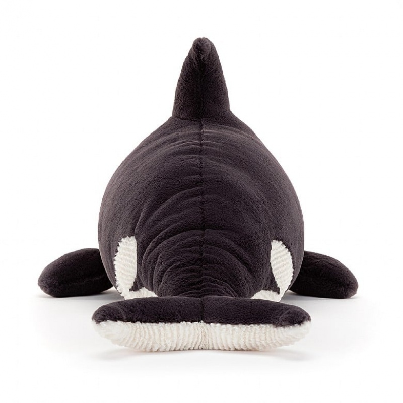 Jellycat Ollivander the Orca | GCNH-14760