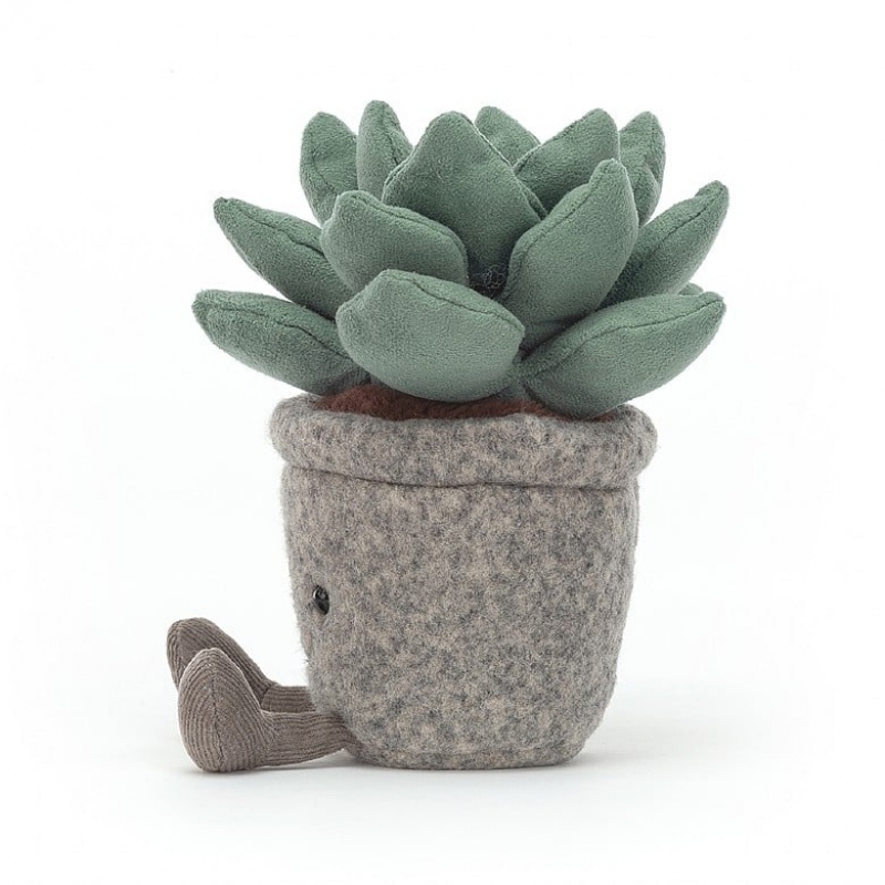 Jellycat Silly Succulent Azulita | WFHR-95830