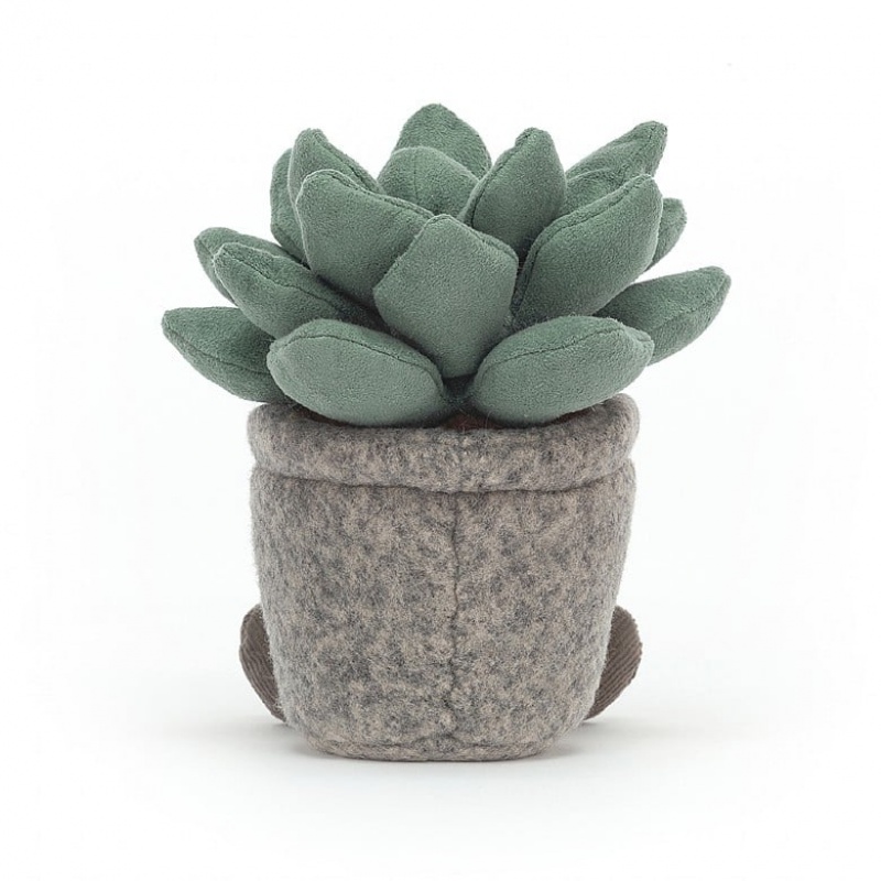 Jellycat Silly Succulent Azulita | WFHR-95830