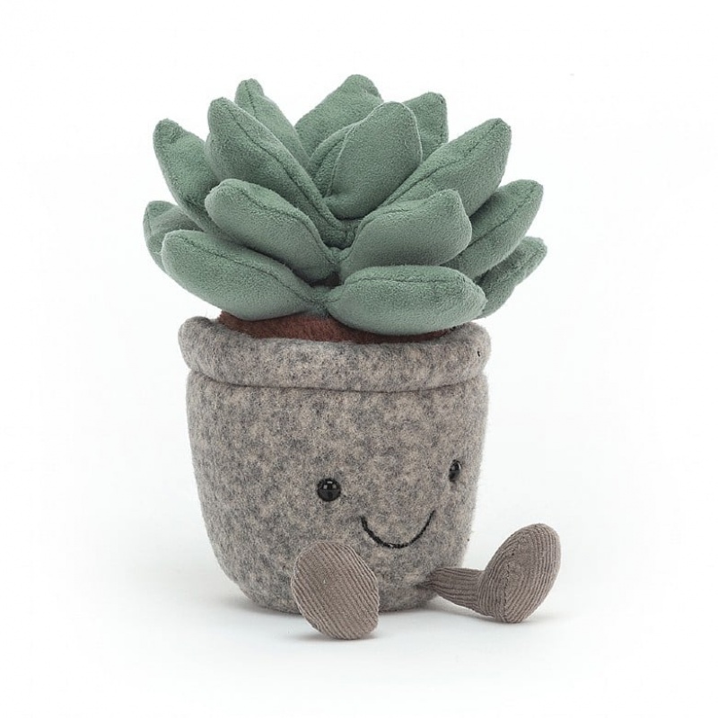 Jellycat Silly Succulent Azulita | WFHR-95830