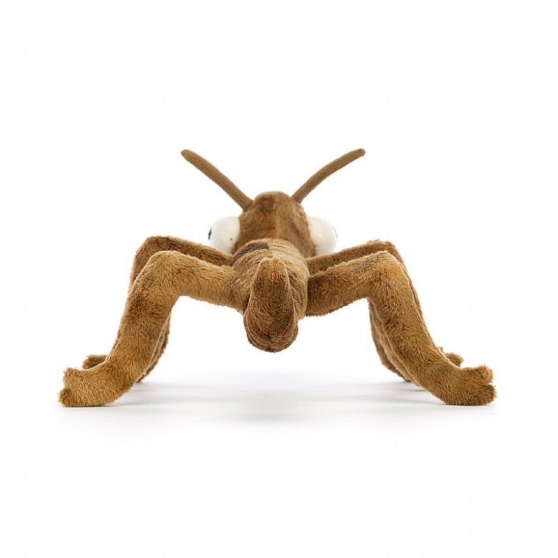 Jellycat Stanley Stick Insect | IVQA-52186