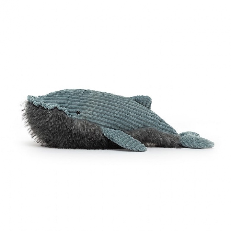 Jellycat Wiley Wal Groß | BDAQ-09321